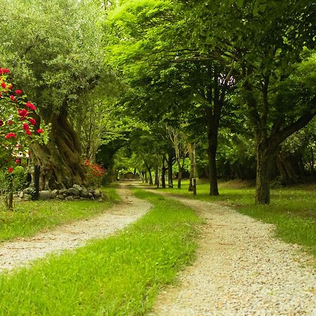 Agriturismo La Locanda Del Parco Морано-Калабро Экстерьер фото