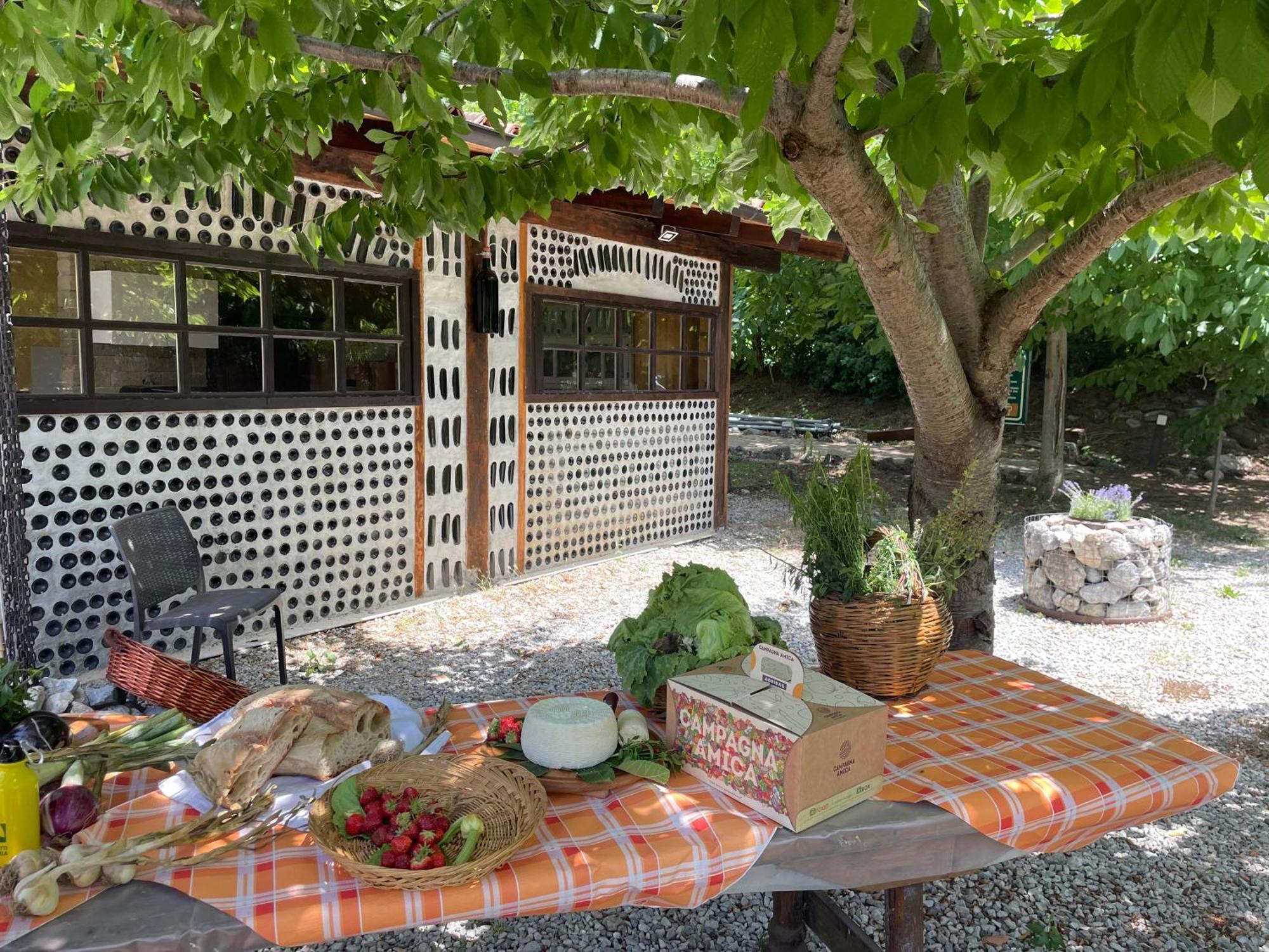 Agriturismo La Locanda Del Parco Морано-Калабро Экстерьер фото