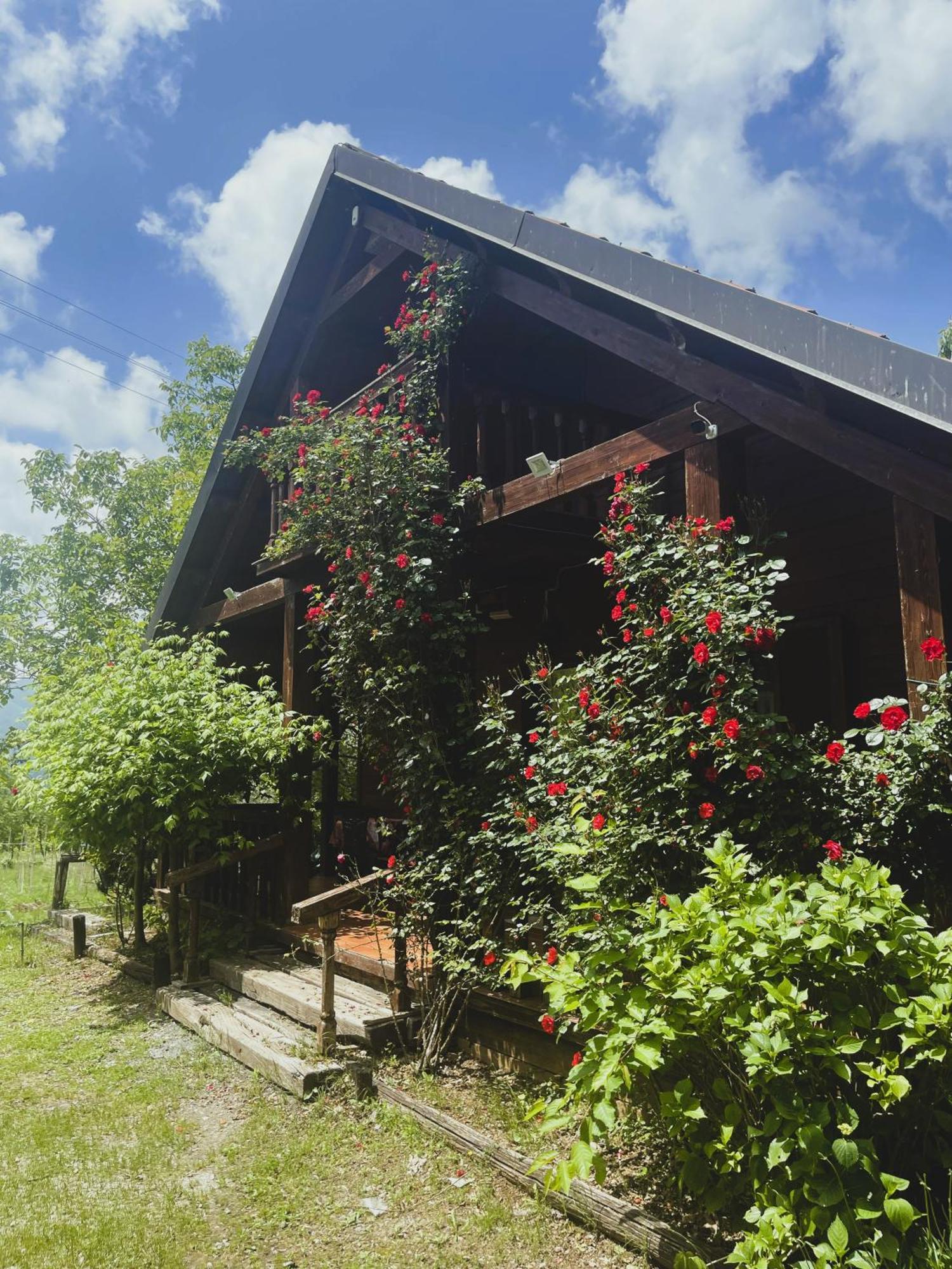 Agriturismo La Locanda Del Parco Морано-Калабро Экстерьер фото