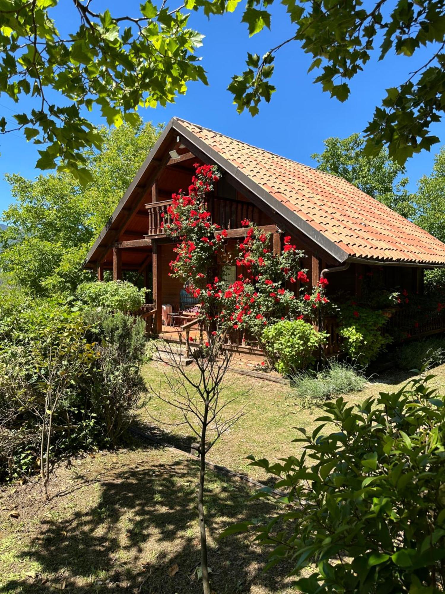 Agriturismo La Locanda Del Parco Морано-Калабро Экстерьер фото